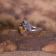 Bague d'exception en argent avec citrine et marcassites