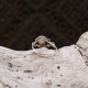 Bague en argent et perle de rivière