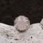 Bague en argent et quartz rose