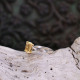 Bague en argent et or avec citrine