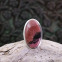 Bague en argent et rhodonite