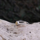 Bague en argent et citrine