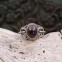 Bague en argent et grenat