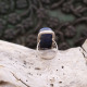 Bague en argent et lapis lazuli