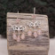 Boucles d'oreilles en argent et quartz rose