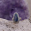 Bague en argent et opale bleue