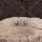 Boucles d'oreilles "puces" en argent