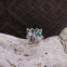 Bague en argent et abalone - papillon