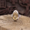 Bague en argent et citrine